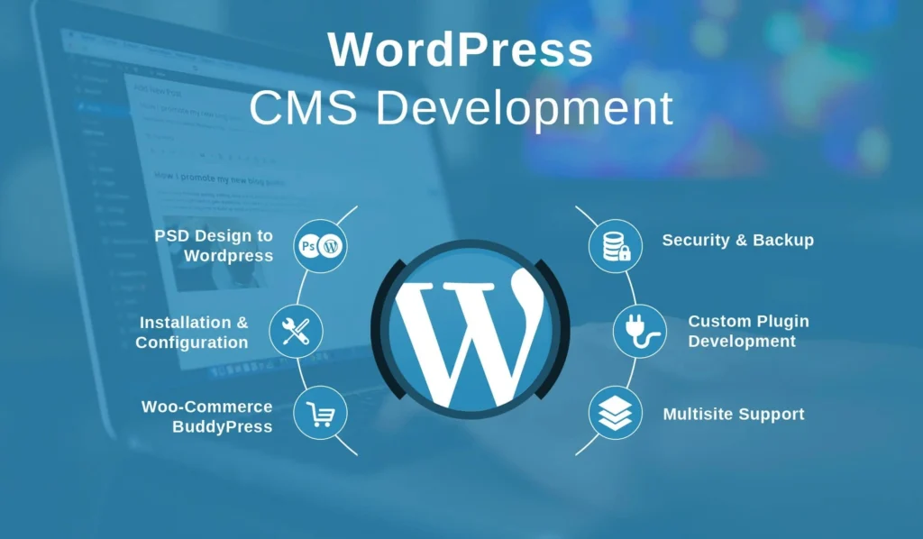 wordpress development